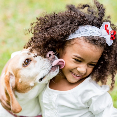 Beagle and child